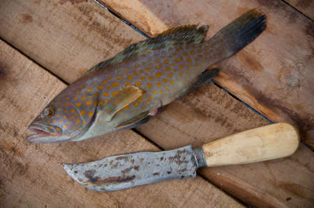 Fresh fish from the sea on wooden background, Healthy foods background.の写真素材