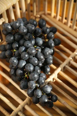 fresh berry or grape fruit in orchard, Clean fruit or popular fruit background, market fruit from agriculture orchard, fresh fruit in the nature.の写真素材