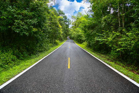 Country road between district to the city, Journey way of traveller to the nature, Road in the mountain and the forest for travel to someplace, Highland road or asphalt road in the forest and no car.の写真素材