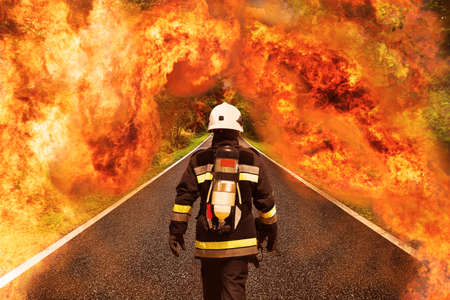 Fire fighter go to the forest for fighting with fire, Team work and operation with fire case and the mission should be successful, Fire fighter with suit and equipment for operation in fire case.の写真素材