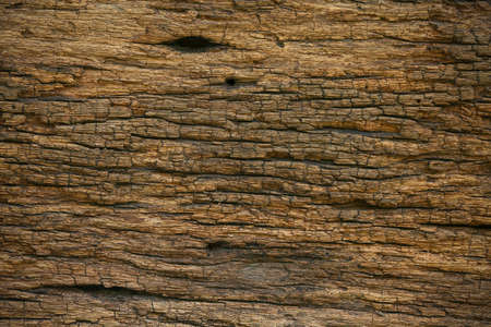 old wood background from old home, corrosion of base or ceiling in interior of home, corrosion of wooden background and empty area for text, wooden for background of food raw in kitchen room.の写真素材