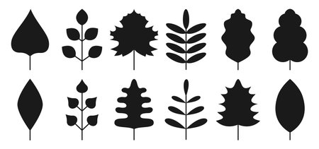 Black autumn leaves. Vector foliage for greeting card, bed linen, tableware, for textile, wallpapers, scrapbook. Curly elements for tags and stickersのイラスト素材
