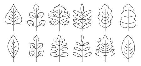 Black autumn leaves. Vector set black line leaf isolated on white background for textile, wallpapers, scrapbook. Curly elements for tags and stickersのイラスト素材
