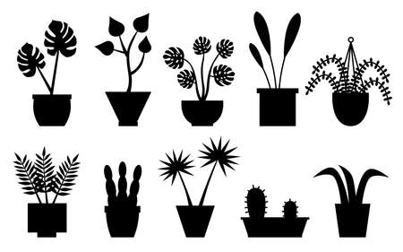 Cactus, sansevieria, monstera, fern, hanging flower. Houseplants in black silhouette flower pot set. Urban jungle decor. For interior, botany, house decoration, web and app design. Vector illustrationのイラスト素材