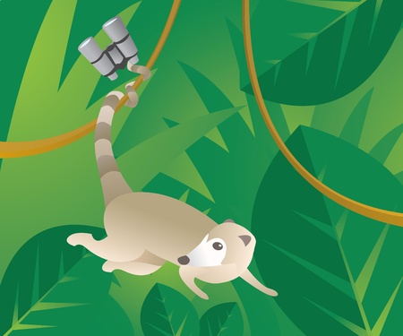 Little coati stole some binocularsのイラスト素材