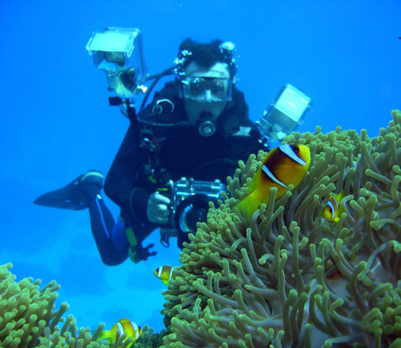 dive 