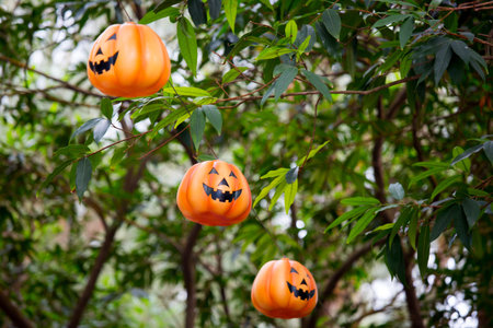 Halloween Pumpkin hanging on treeの写真素材