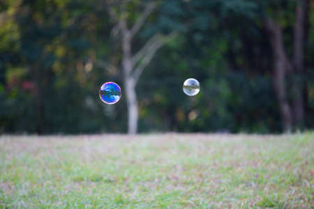 Soap Bubblesの写真素材