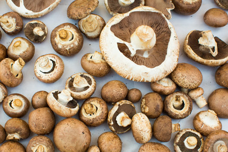 mushrooms with different