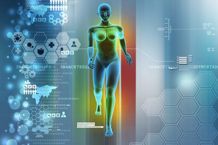 woman female human body