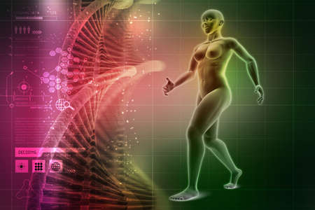 woman female human bodyの写真素材