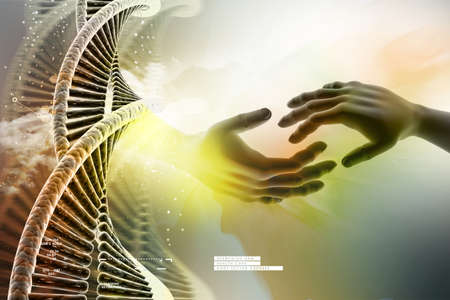 model of twisted chrome DNA chain and handの写真素材