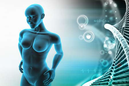 woman female human bodyの写真素材