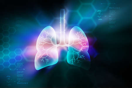 Human lungs in color backgroundの写真素材