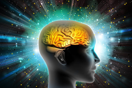 Man head showing the human brainの写真素材