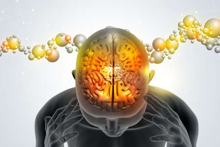 Man head showing the human brainの写真素材