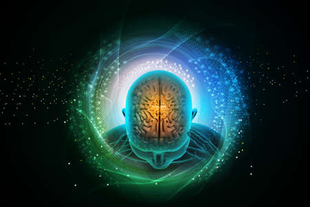 representation of human brainの写真素材