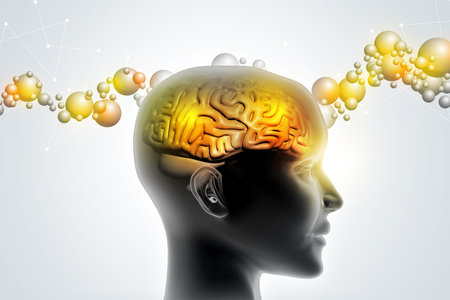 Man head showing the human brain