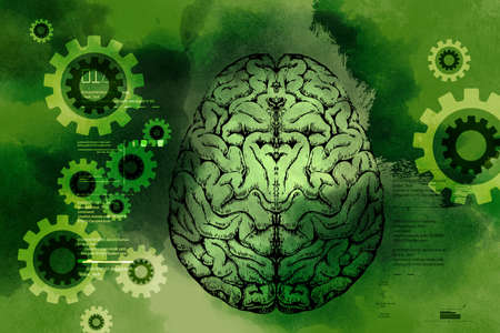 presentation of human brainの写真素材