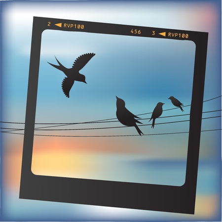 Photo frame with birds on the wiresのイラスト素材