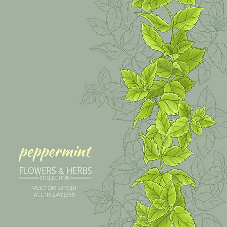peppermint leaves vertical vector pattern on color backgroundのイラスト素材