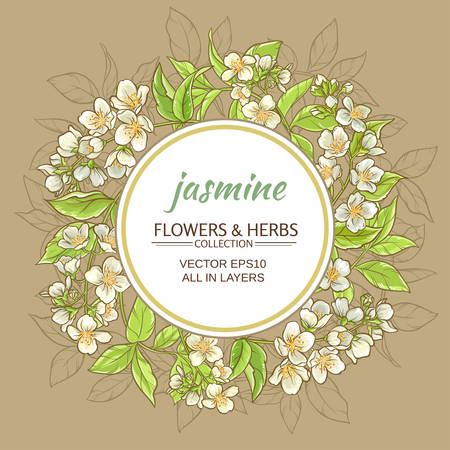 jasmine flowers vector frame on brown backgroundのイラスト素材
