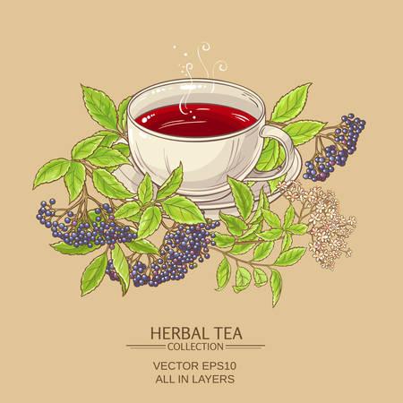 cup of elderberry teaのイラスト素材