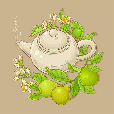 bergamot tea vector illustrationのイラスト素材