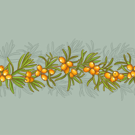 Sea buckthorn vector seamless pattern on color backgroundのイラスト素材