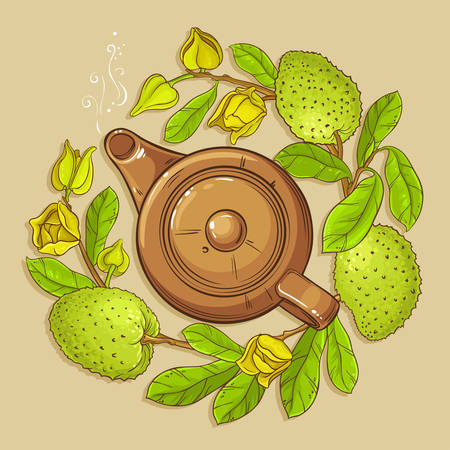 Soursop tea vector illstraton on color backgroundのイラスト素材