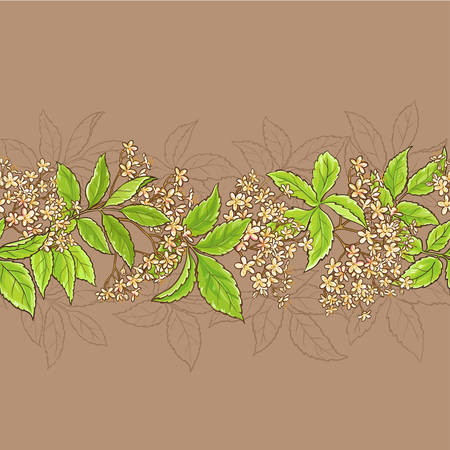 elderflower patternのイラスト素材
