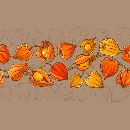 physalis vector patternのイラスト素材