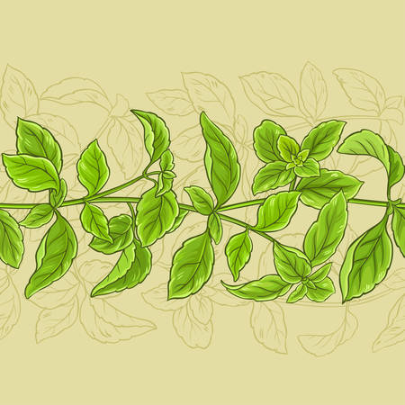 Basil leaves vector pattern on color background, vector illustration.のイラスト素材