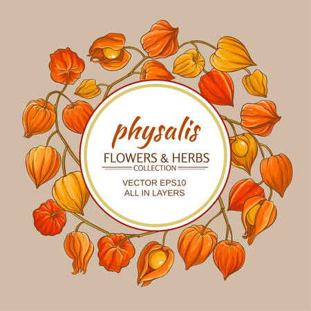 Physalis branches border or frameのイラスト素材