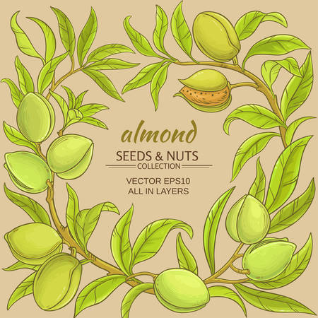 almond vector frameのイラスト素材