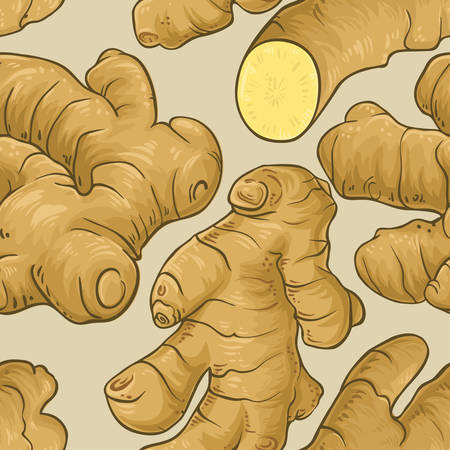 Realistic illustration of ginger root in a seamless vector pattern backgroundのイラスト素材