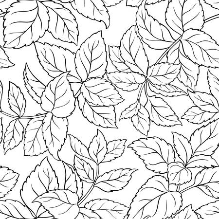 melissa herb seamless pattern on white backgroundのイラスト素材