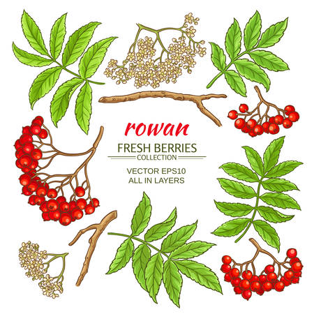 rowan elements frame designのイラスト素材