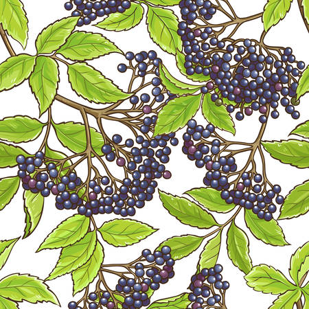 Elderberry branch vector seamless pattern background designのイラスト素材