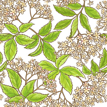 Elderberry branch vector pattern.のイラスト素材