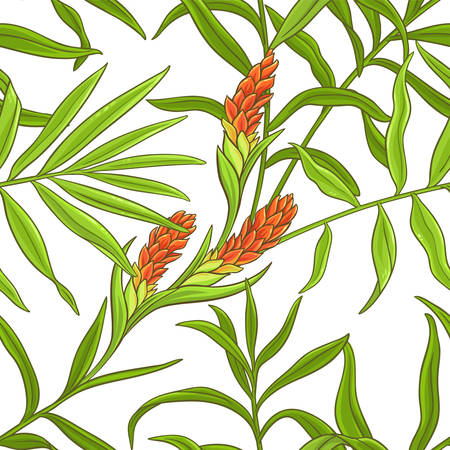ginger vector patternのイラスト素材