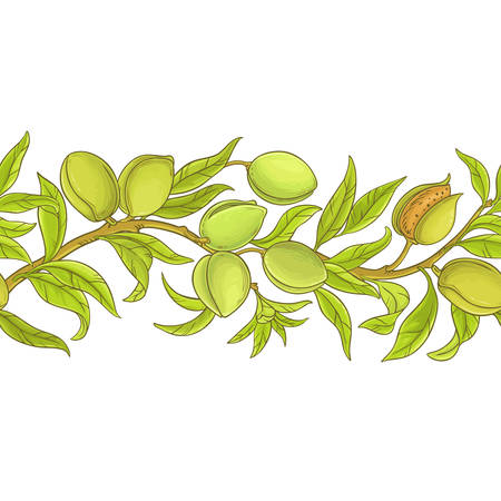 almond vector patternのイラスト素材