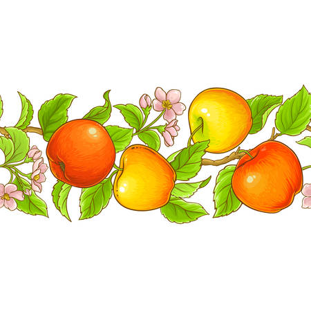 An apple seamless pattern isolated on plain background.のイラスト素材