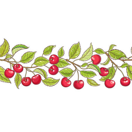 Cherry branch vector pattern illustration.のイラスト素材