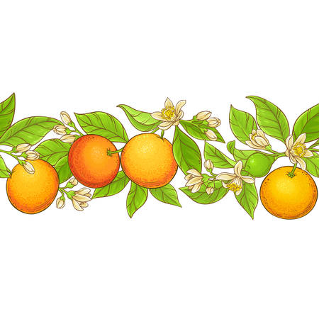 Grapefruit branch vector illustrationのイラスト素材