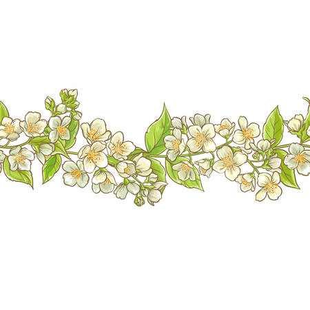 Jasmine branch vector pattern seamless design backgroundのイラスト素材