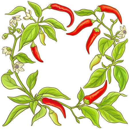 cayenne pepper vector frame illustrationのイラスト素材