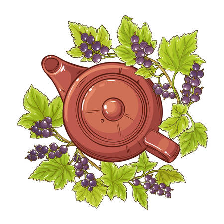 black currant tea illustrationのイラスト素材