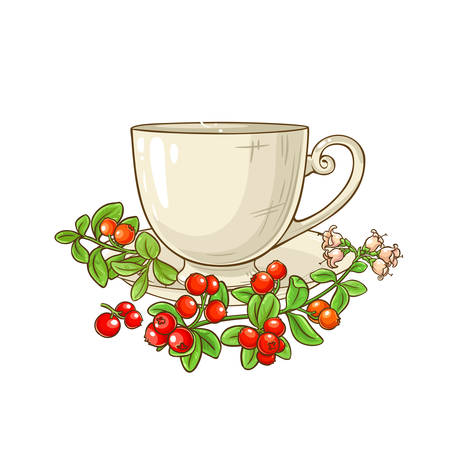 cranberry tea illustrationのイラスト素材