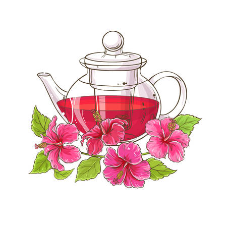 hibiscus tea illustrationのイラスト素材